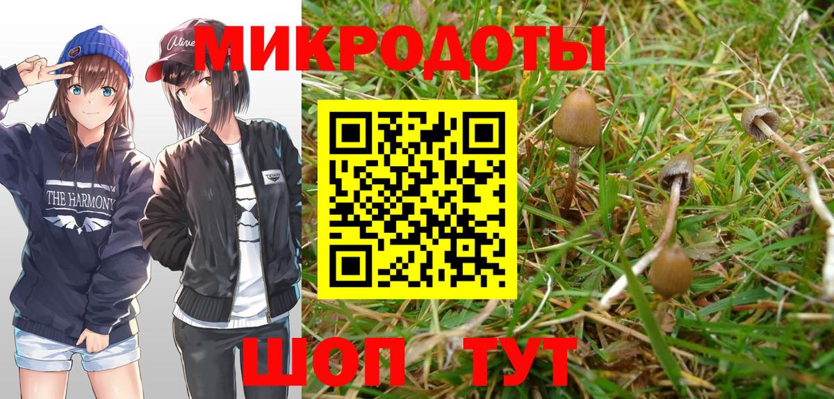 Галлюциногенные грибы ЛСД Елец