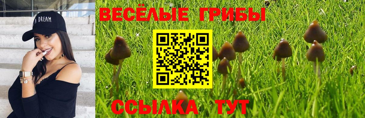 Елец  Псилоцибиновые грибы ЛСД  Вход с VPN 